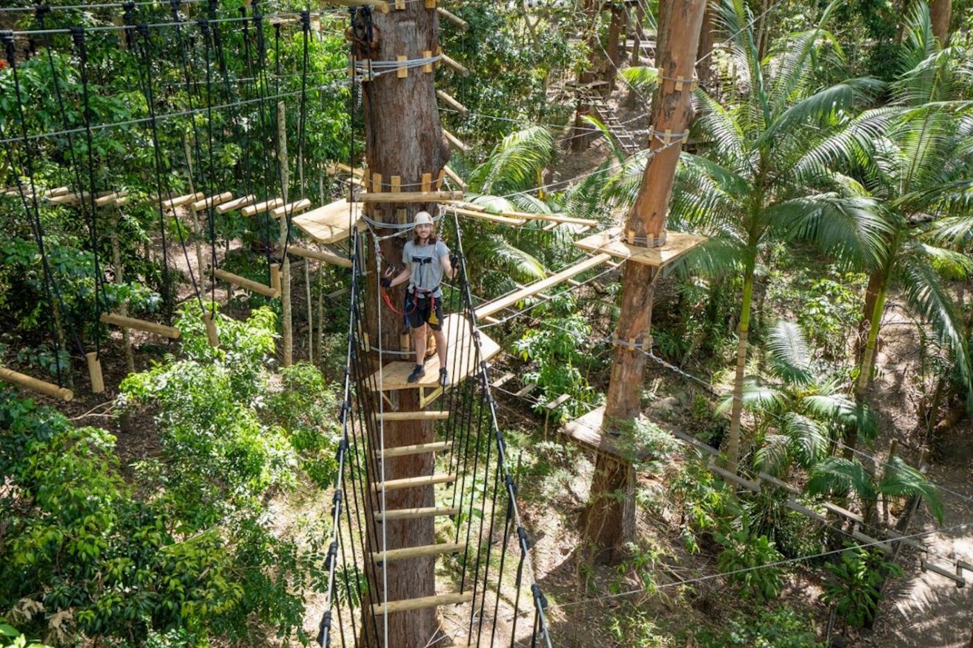 TreeTop Challenge Currumbin High Ropes and Zipline Adventure Park