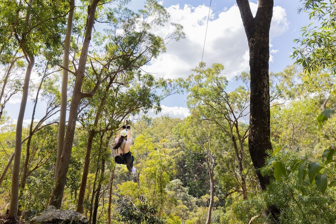 TreeTop Challenge Canyon Flyer - Guided Zipline Tour Tamborine
