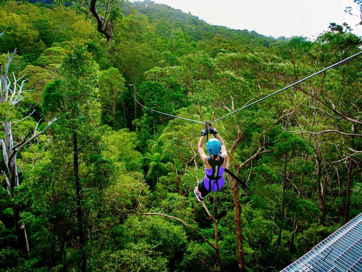 TreeTop Challenge Canyon Flyer - Guided Zipline Tour Tamborine