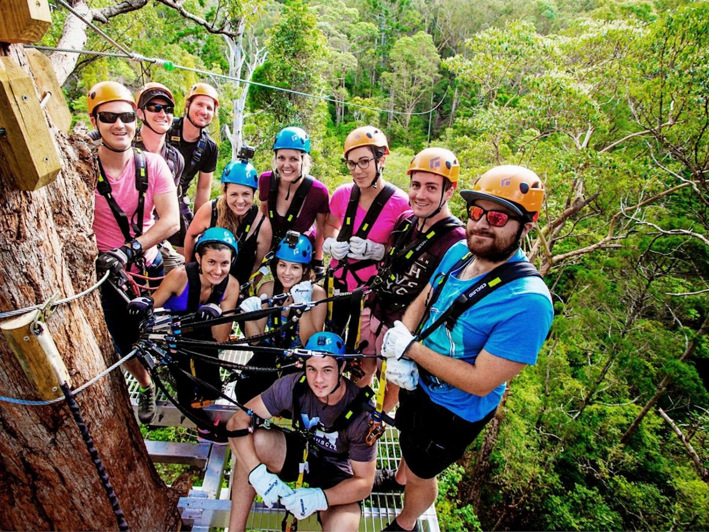 TreeTop Challenge Canyon Flyer - Guided Zipline Tour Tamborine