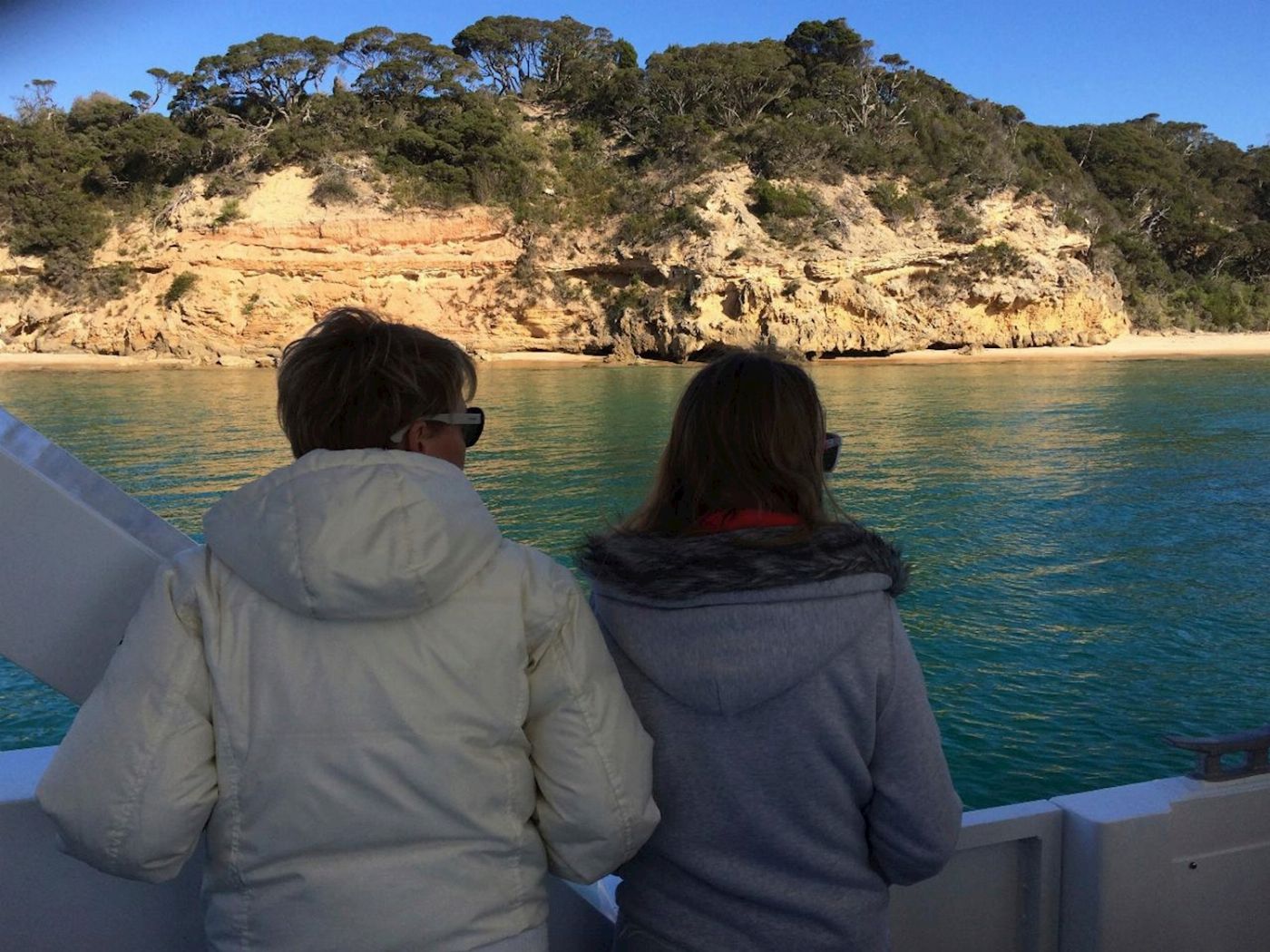 Moonraker Dolphin Swims 3 Hour Dolphin and Seal Sightsee (Family)