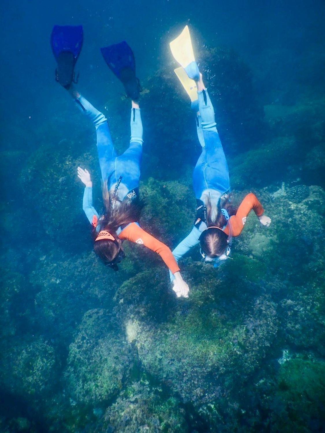 Watersports Guru Snorkel With The Turtles
