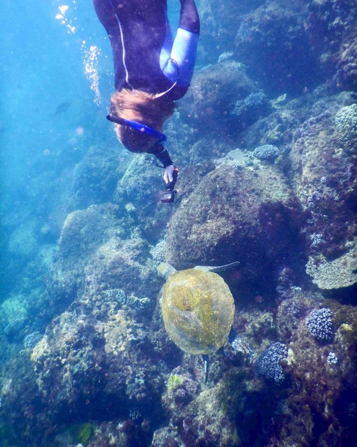 Watersports Guru Snorkel With The Turtles