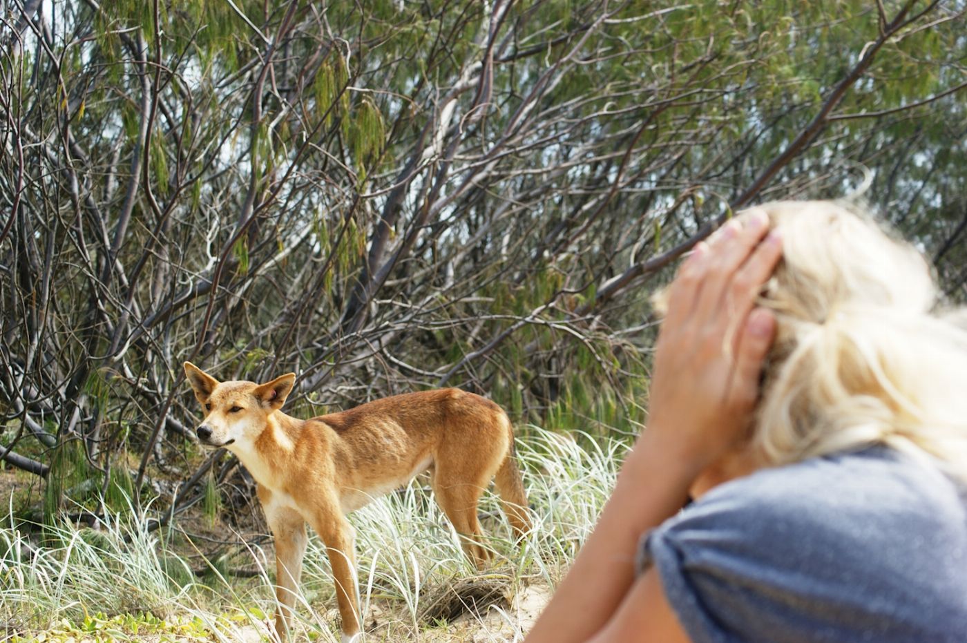 Via Travel Sydney to Brisbane K’gari Fraser Island Comfort Tour - Private Double/Twin Ensuite