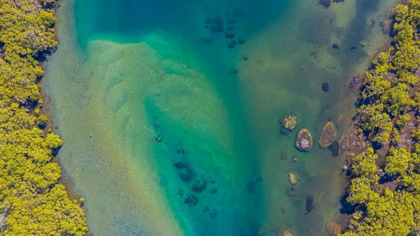 Watersports Guru Kayak Tour on Cudgen Creek