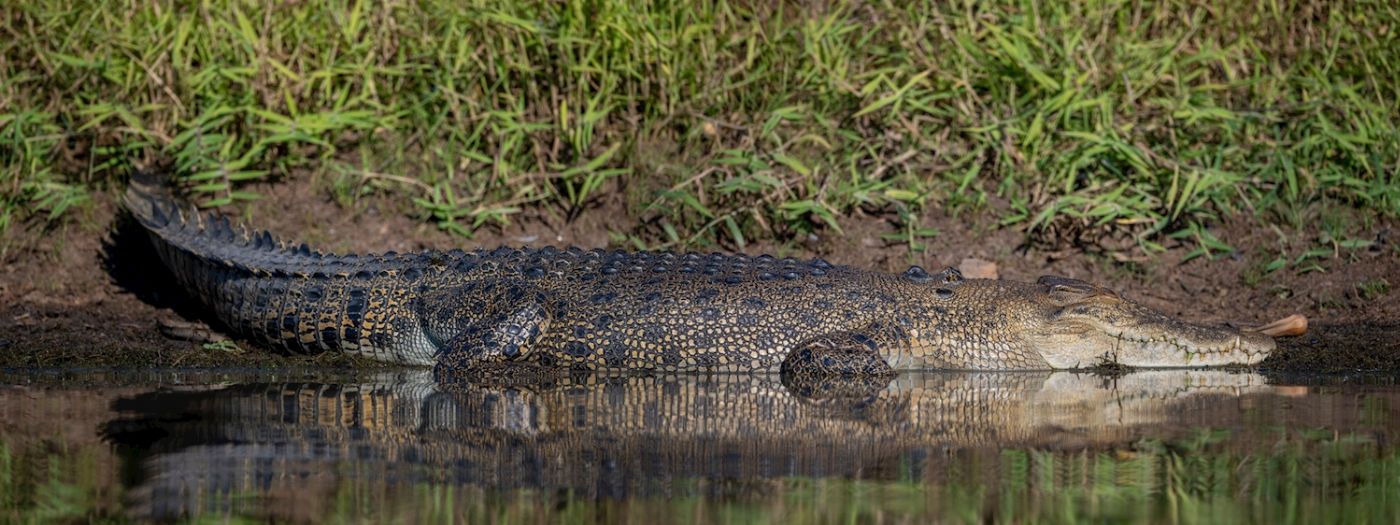 Sacred Owl Tours 3B Kakadu National Park Full Day Tour - Yellow Water River Cruise (Day Tour)