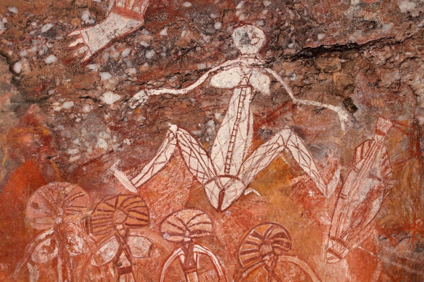 Sacred Owl Tours Tour 3A - Kakadu National Park -Full Day Tour - including 2 Hour Cultural River Cruise (Small group tour)
