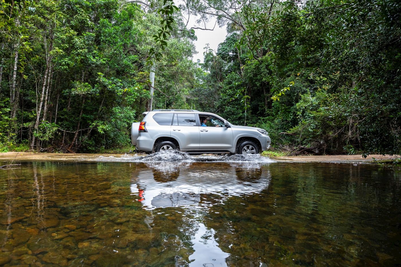 Far North Escapes Private 1 Day Private Daintree Tour - Additional Person Price