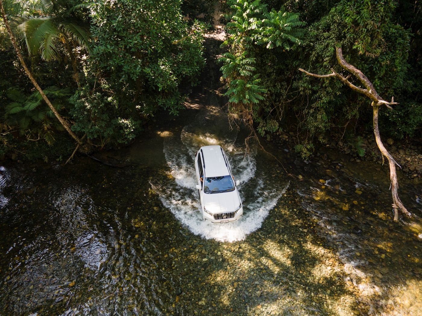 Far North Escapes Private 1 Day Private Daintree Tour - Couple