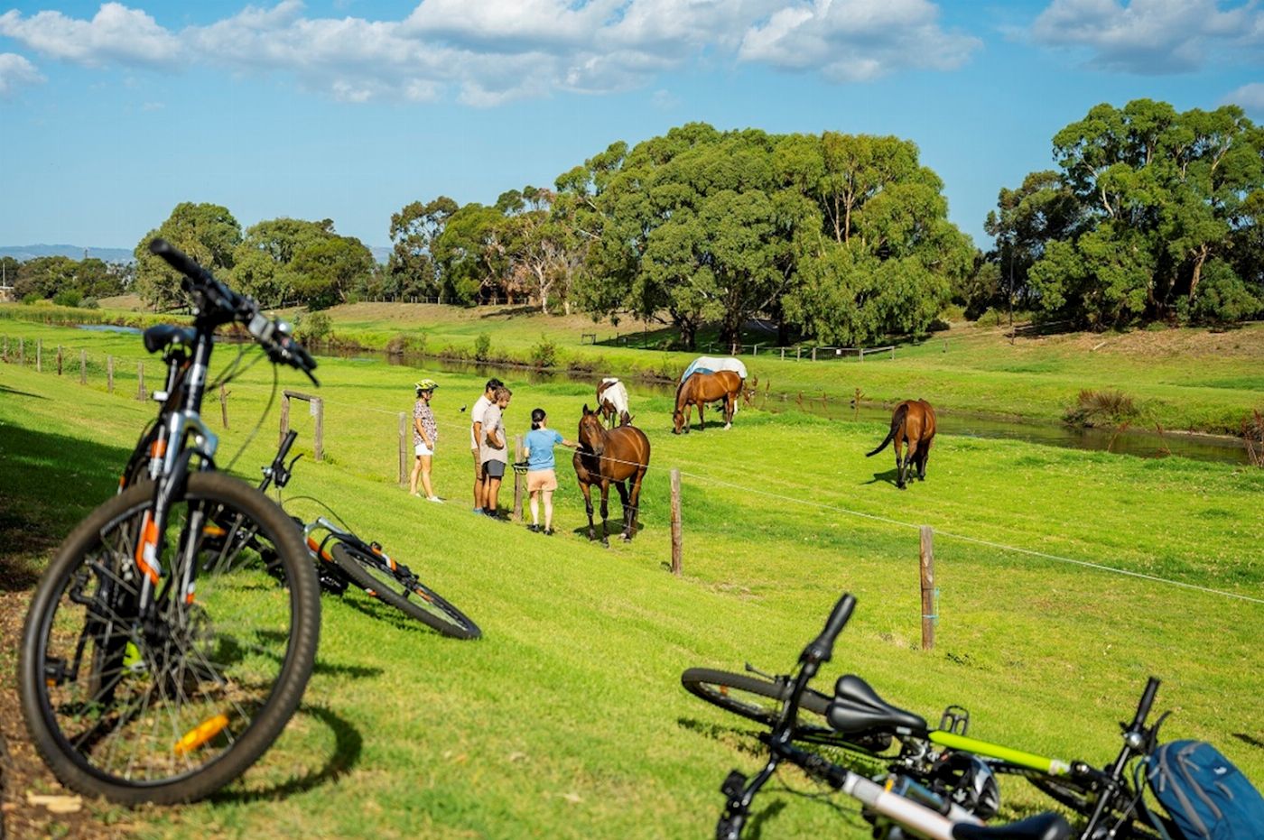 Earth Adventure City to Sea Bike and Kayak Safari