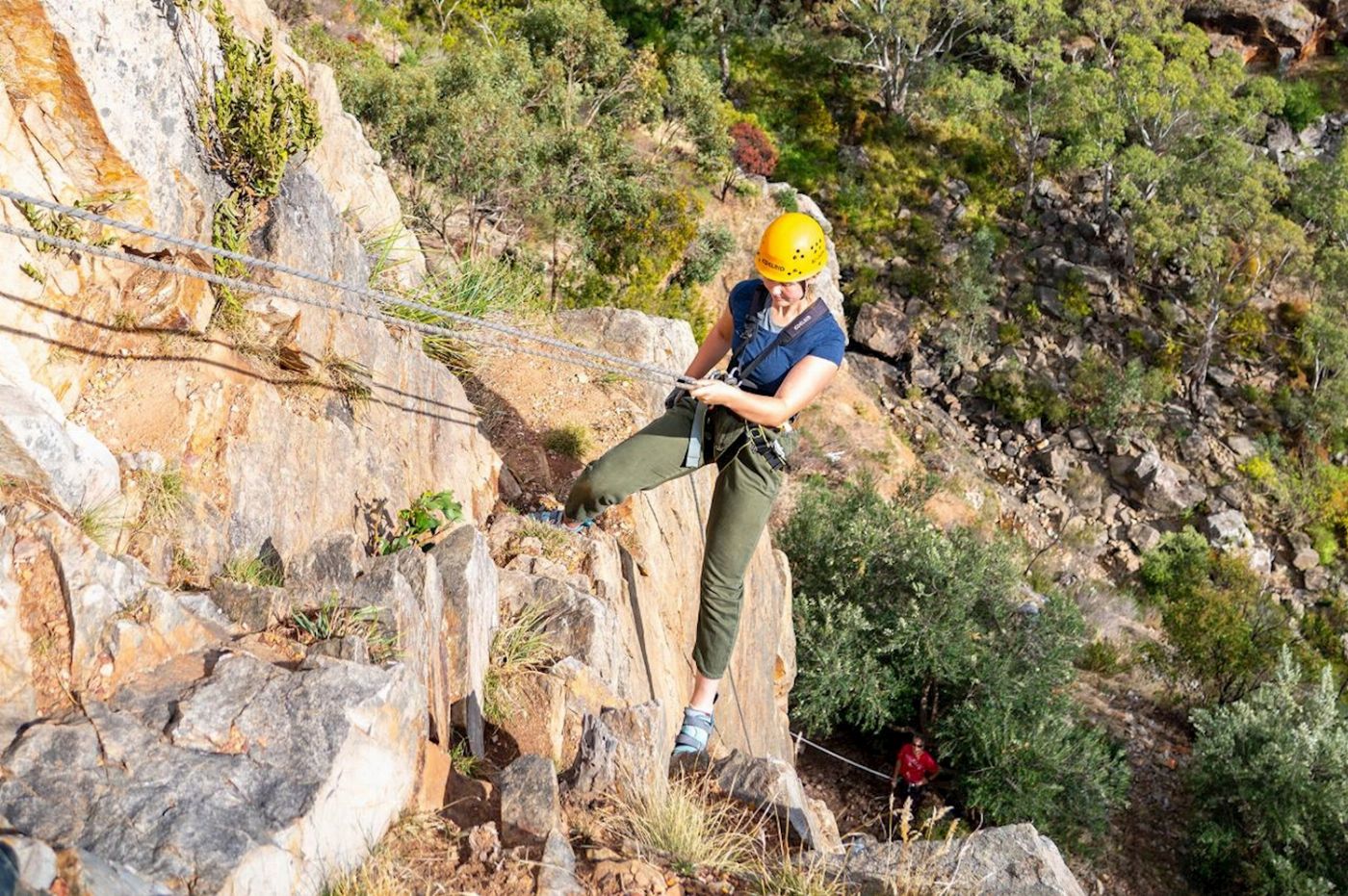 Earth Adventure Fleurieu Climb & Gin Tasting