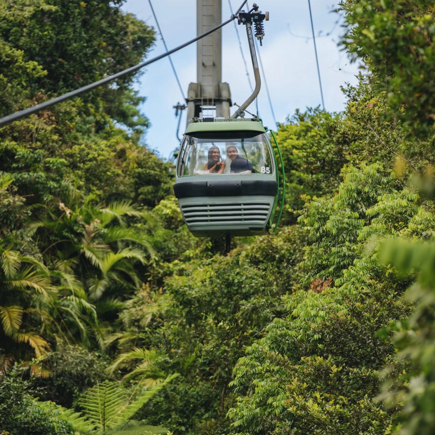 Via Travel Cairns to Daintree Port Douglas Comfort Tour - Twin Share Ensuite