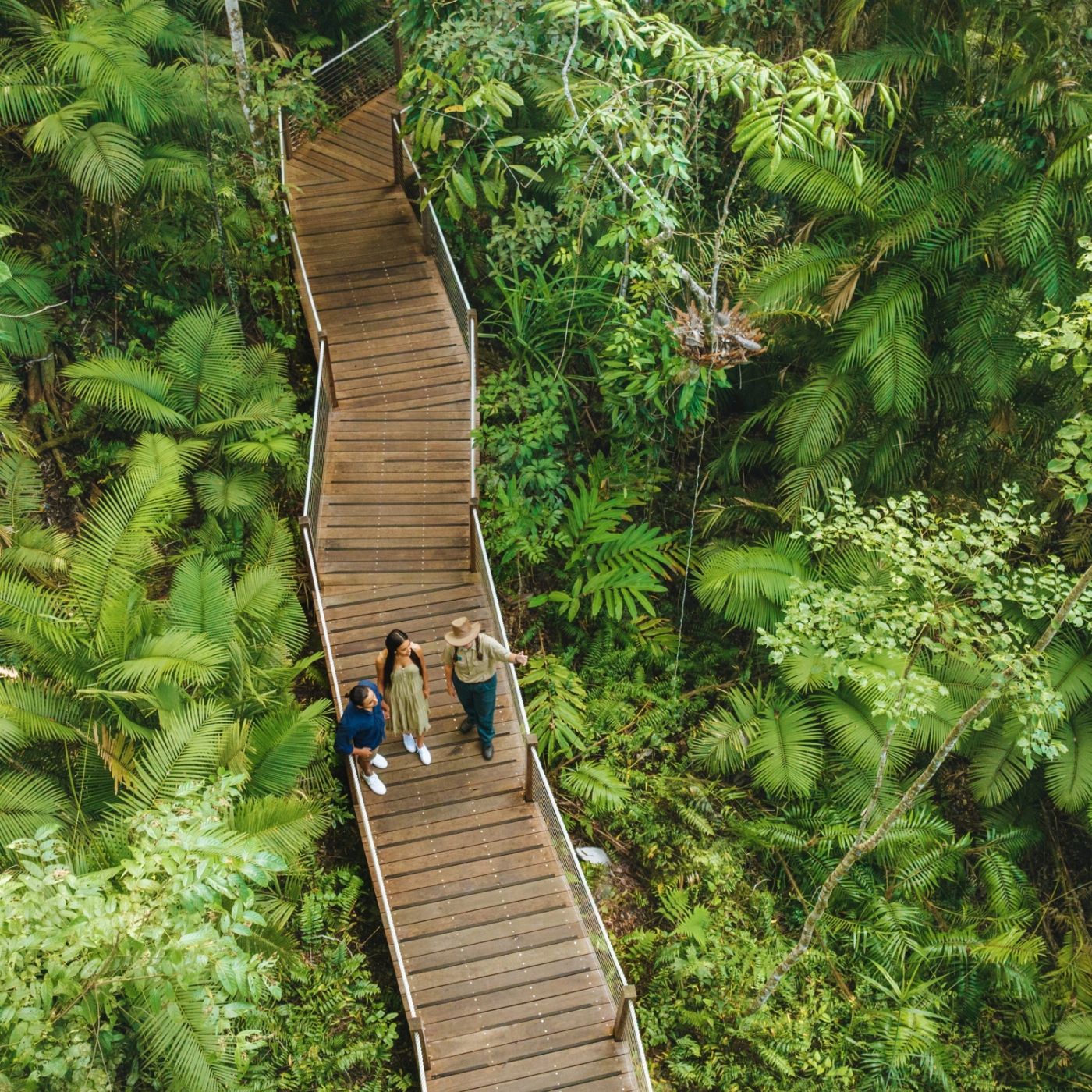 Via Travel Cairns to Daintree Port Douglas Comfort Tour - Private Single Ensuite