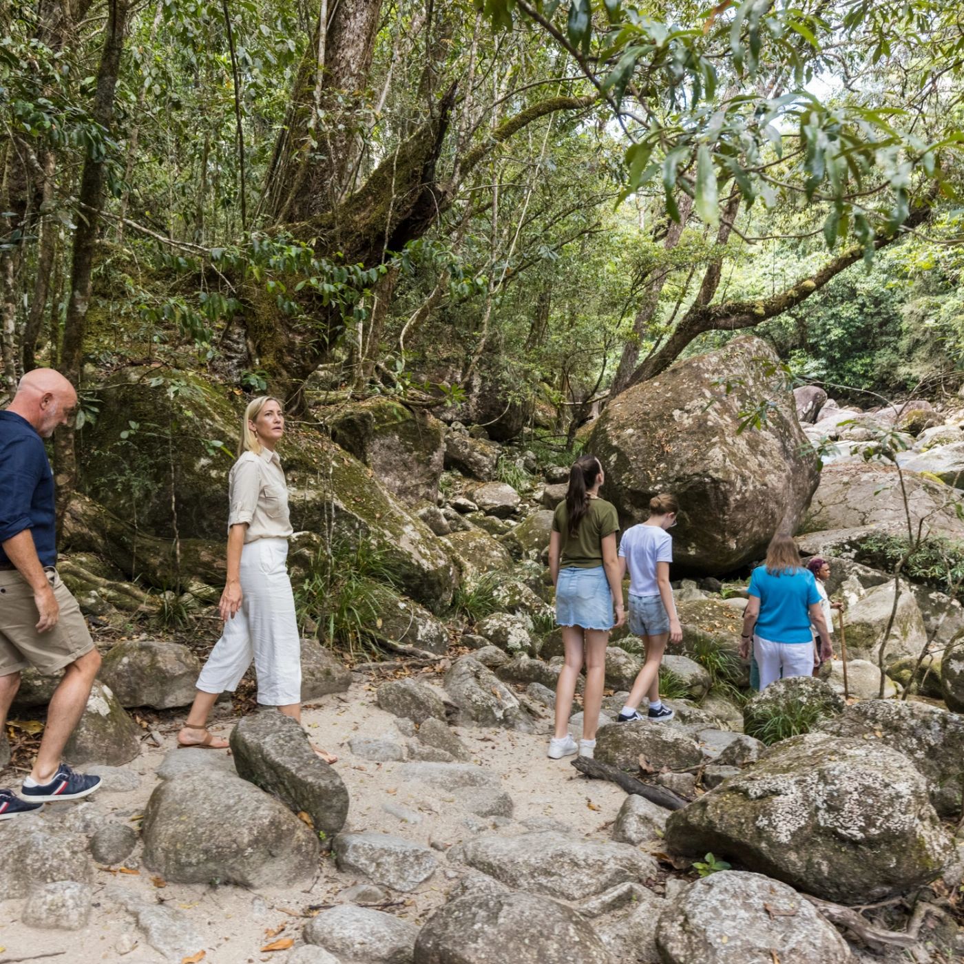 Via Travel Cairns to Daintree Port Douglas Comfort Tour - Private Single Ensuite
