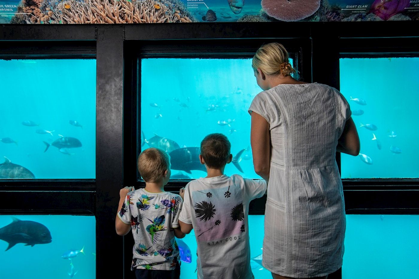 Cruise Whitsundays Great Barrier Reef Adventures (departing Port of Airlie) (Family 2A/2C)