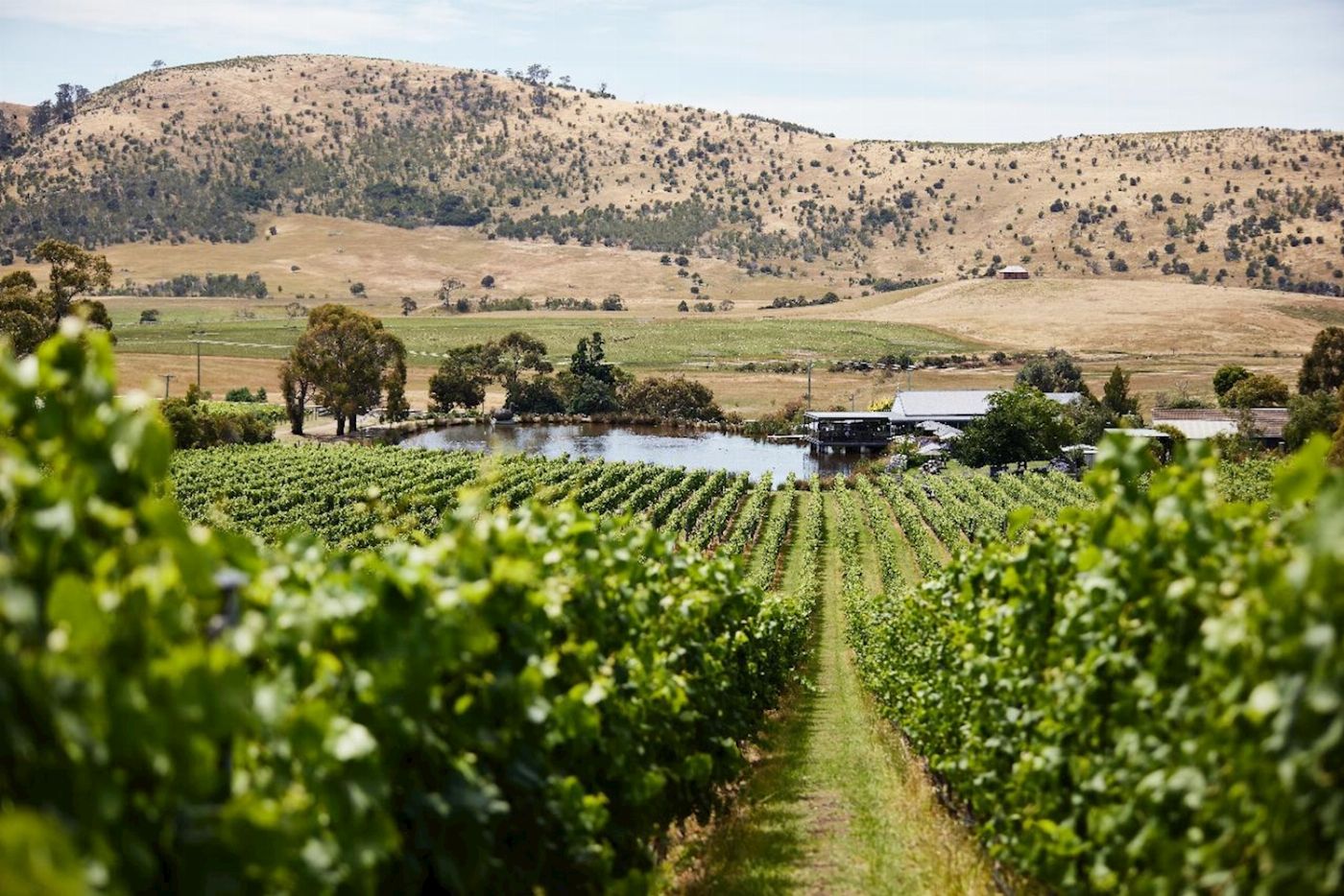 The Wine Hopper The Coal River Hop On Hop Off