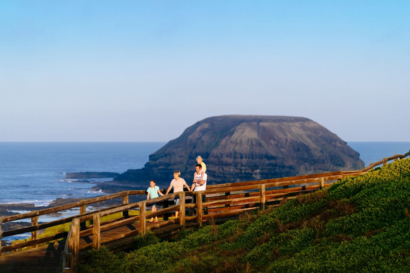 Explore Australia Penguins & Wildlife Nature Experience - Penguins Plus upgrade