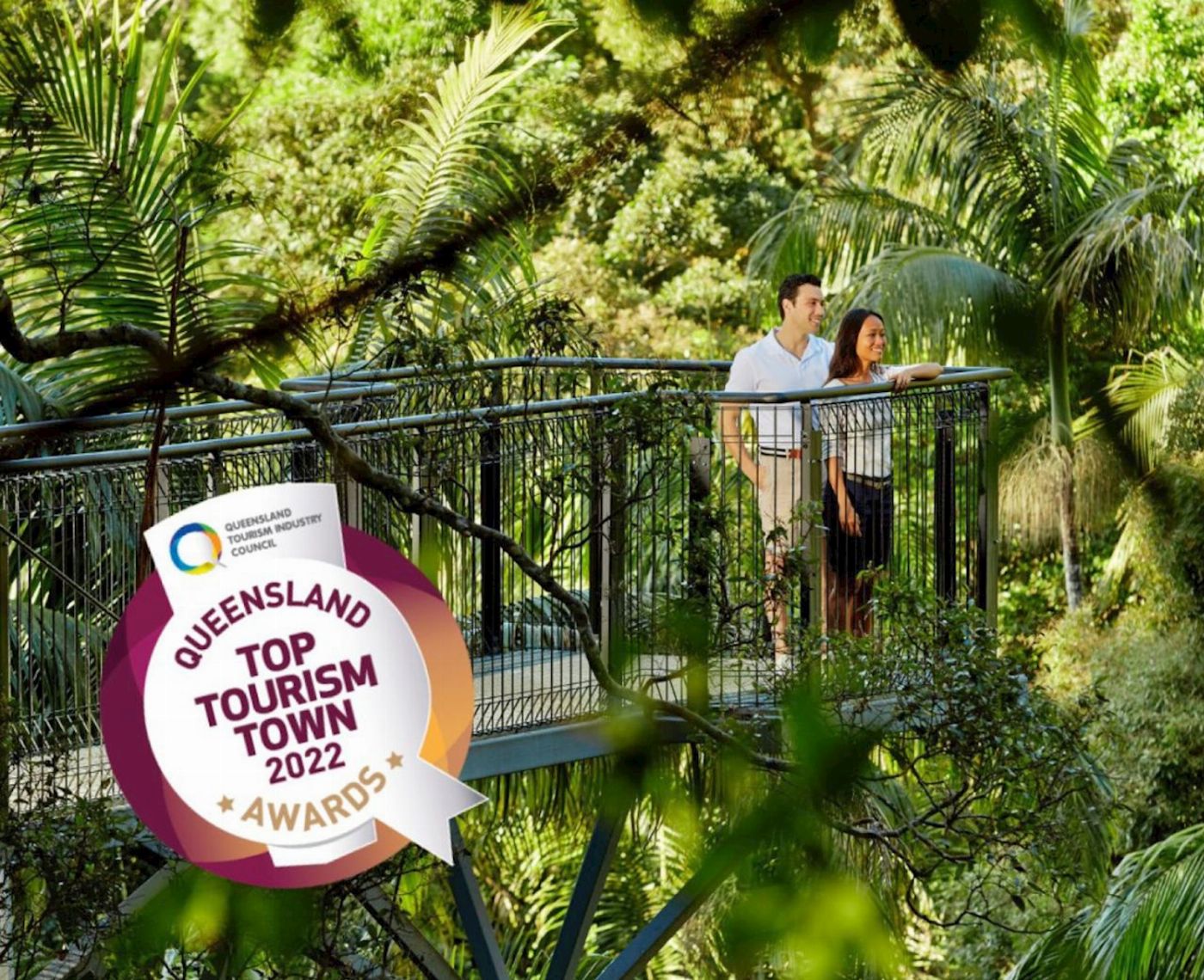 Pineapple Tours Hop on Hop off Bus with Rainforest Skywalk + Glow Worm Caves - From Brisbane