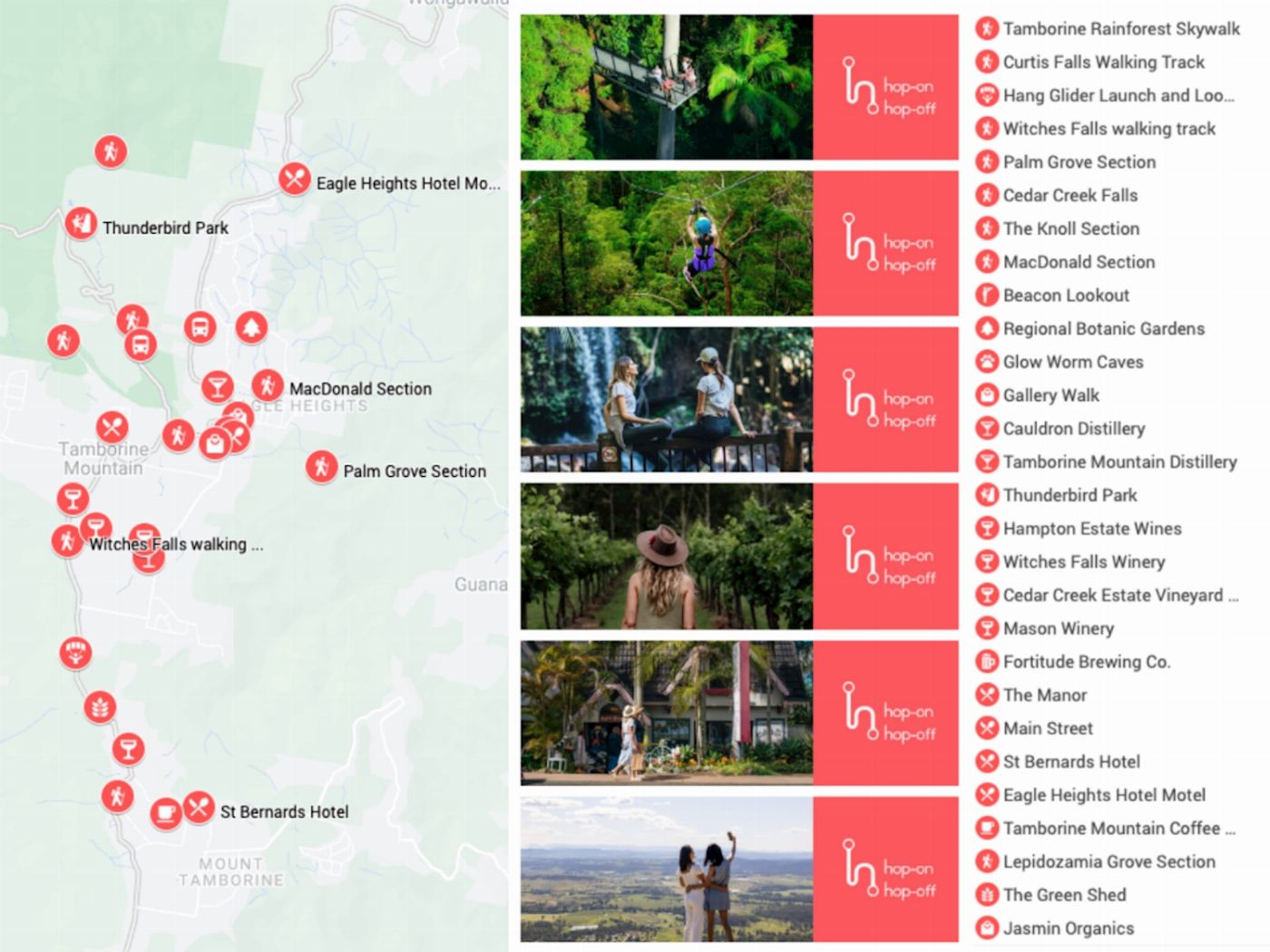 Pineapple Tours Hop on Hop off Bus with Rainforest Skywalk + Glow Worm Caves - From Brisbane