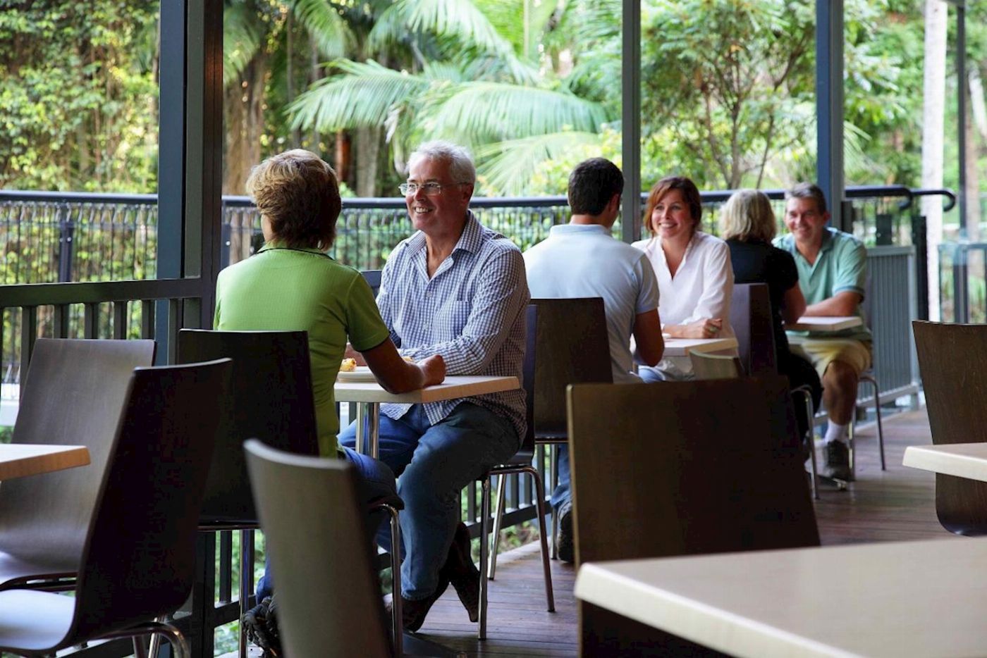 Pineapple Tours Hop on Hop off Bus with Rainforest Skywalk + Glow Worm Caves - From Gold Coast