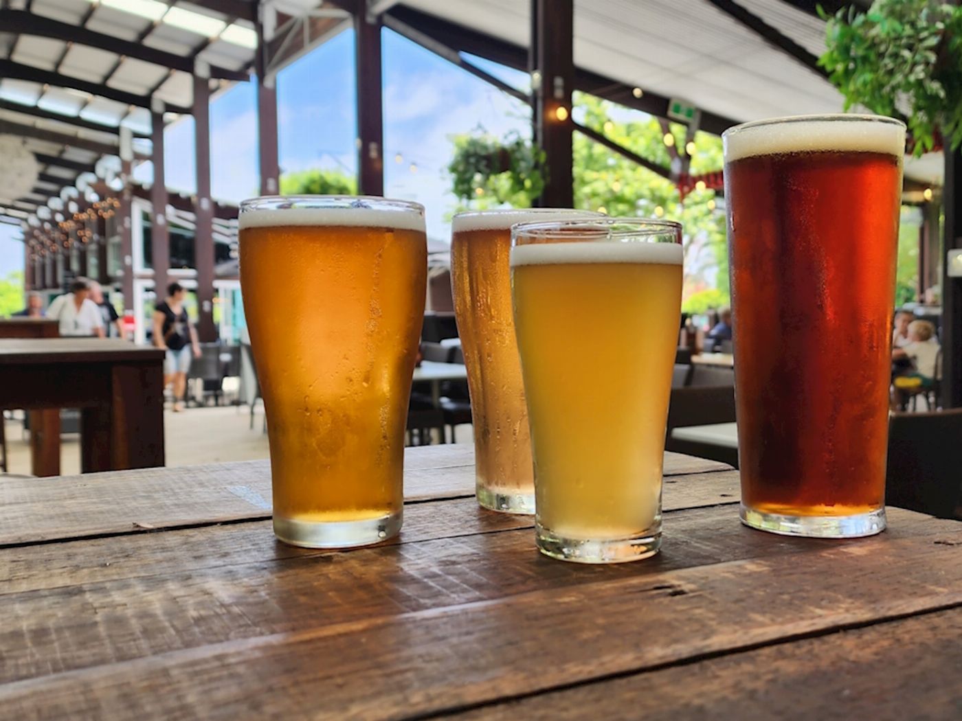 Pineapple Tours Hop on Hop off Brewery adventure - Tamborine Mountain - From Brisbane