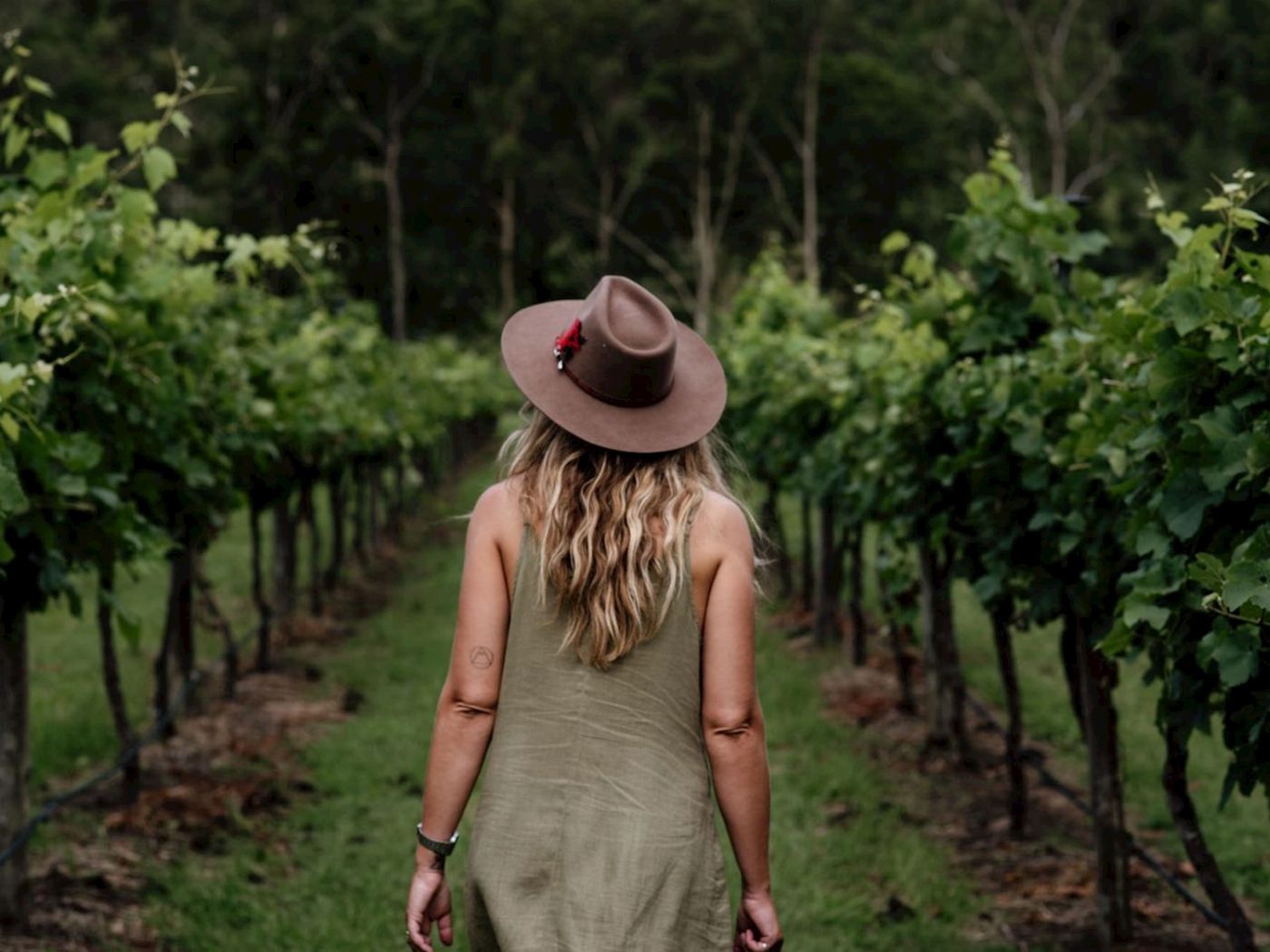 Pineapple Tours Hop on Hop off Winery adventure - Tamborine Mountain - Brisbane