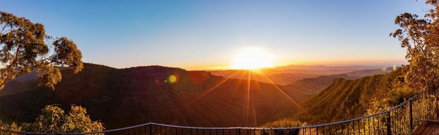 Pineapple Tours Hop on Hop off Brewery adventure - Tamborine Mountain - Gold Coast