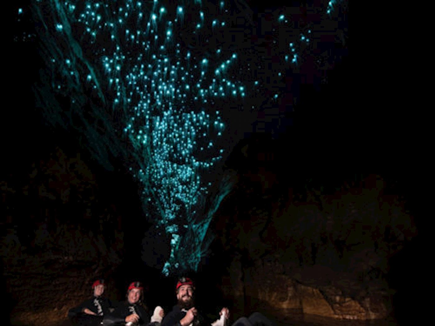 Pineapple Tours Hop on Hop off Day Pass + Glow Worm Tour - Gold Coast Pickup