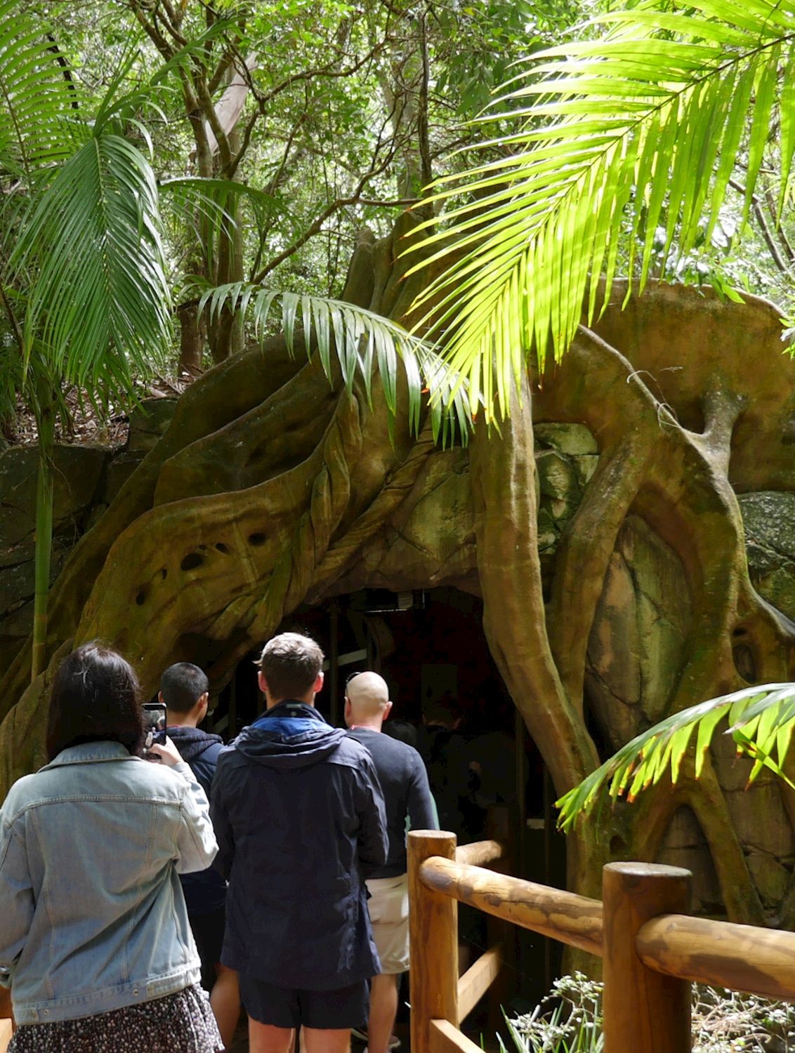 Pineapple Tours Hop on Hop off Day Pass + Glow Worm Tour - Gold Coast Pickup