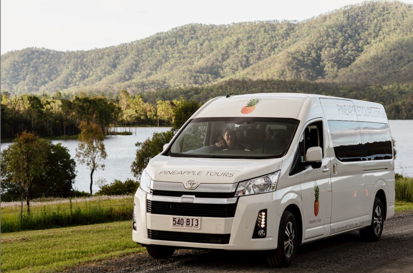 Pineapple Tours Hop on Hop off Day Pass + Glow Worm Tour - Brisbane Pickup
