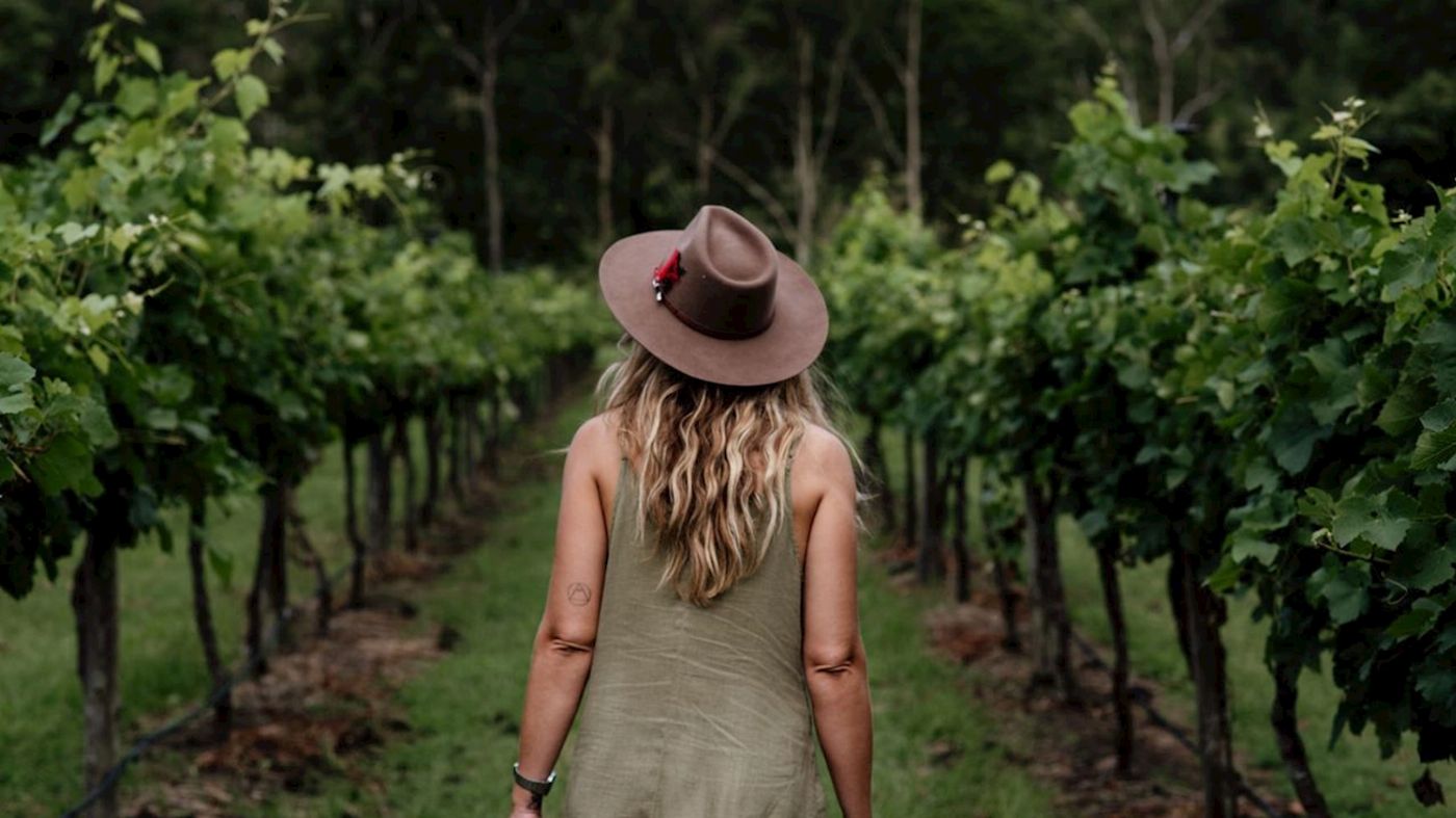 Pineapple Tours Hop on Hop off Day Pass + Glow Worm Tour - Brisbane Pickup