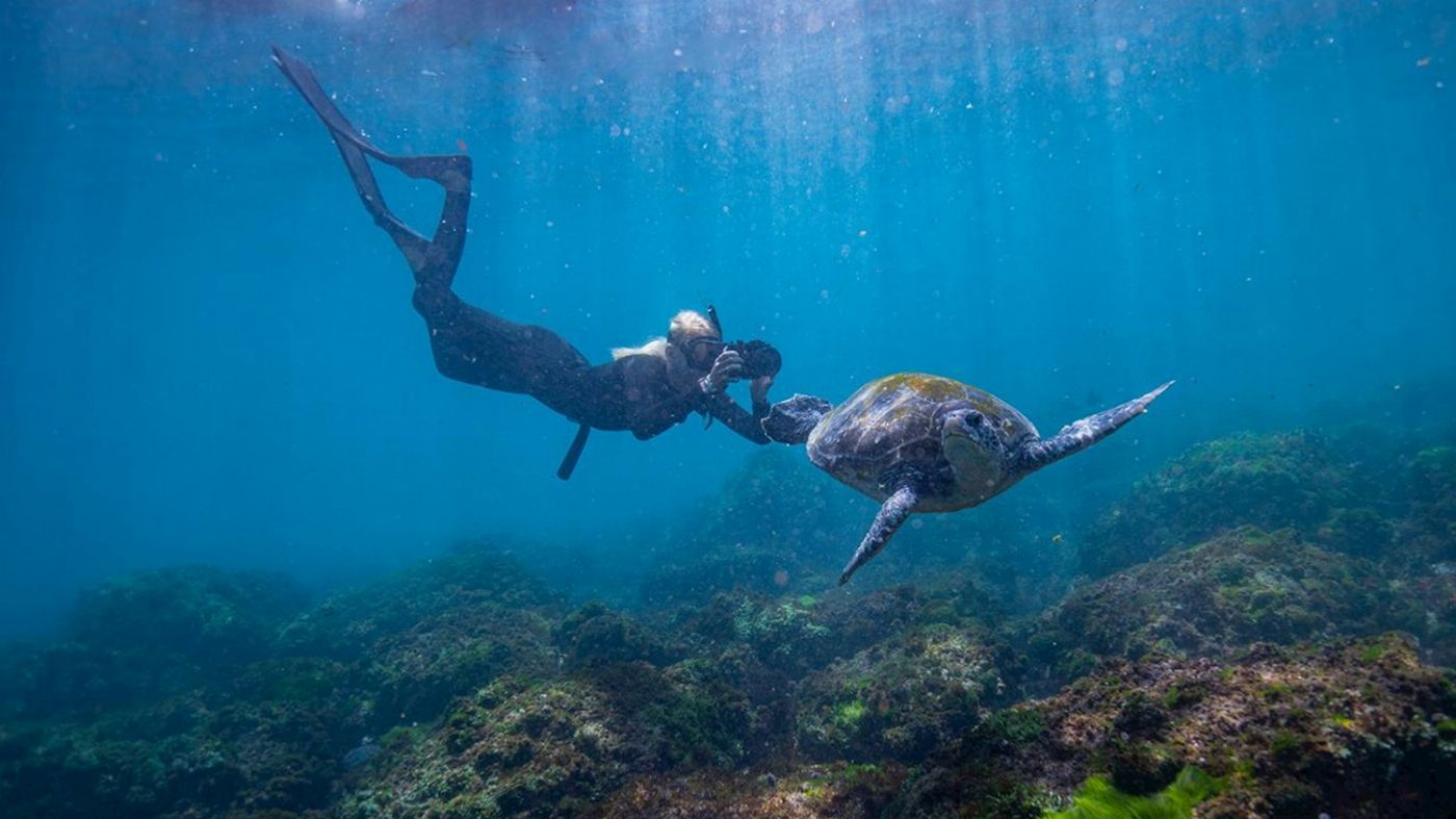 Cooly Eco Adventures Swim with Turtles