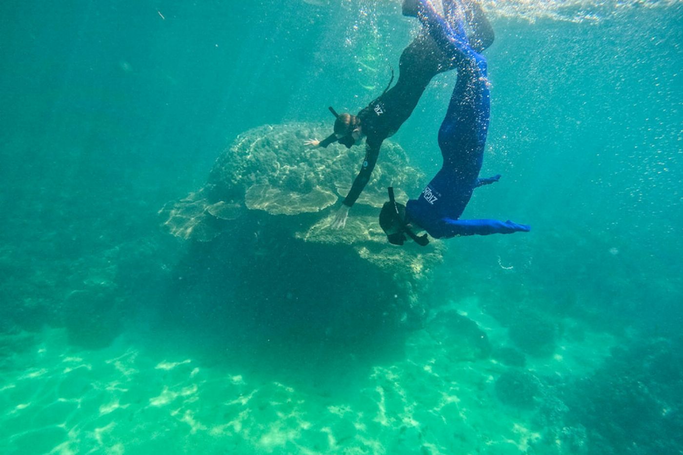 ZigZag Whitsundays Whitehaven Beach And Snorkel