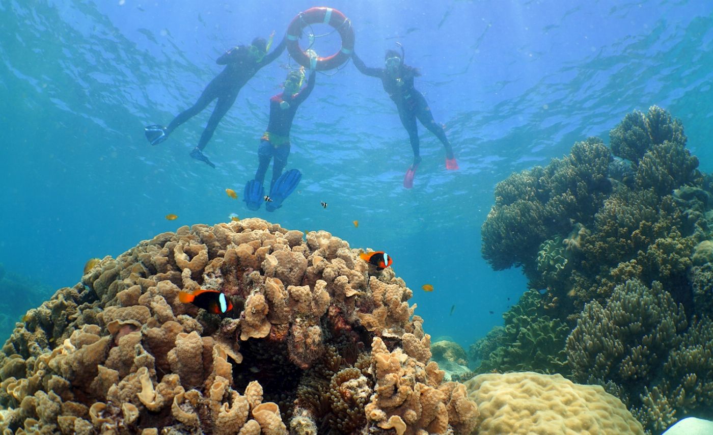 Ocean Spirit Cruises Ocean Spirit Michaelmas Cay (+ 1 Marine Biologist Guided Snorkel Tour)