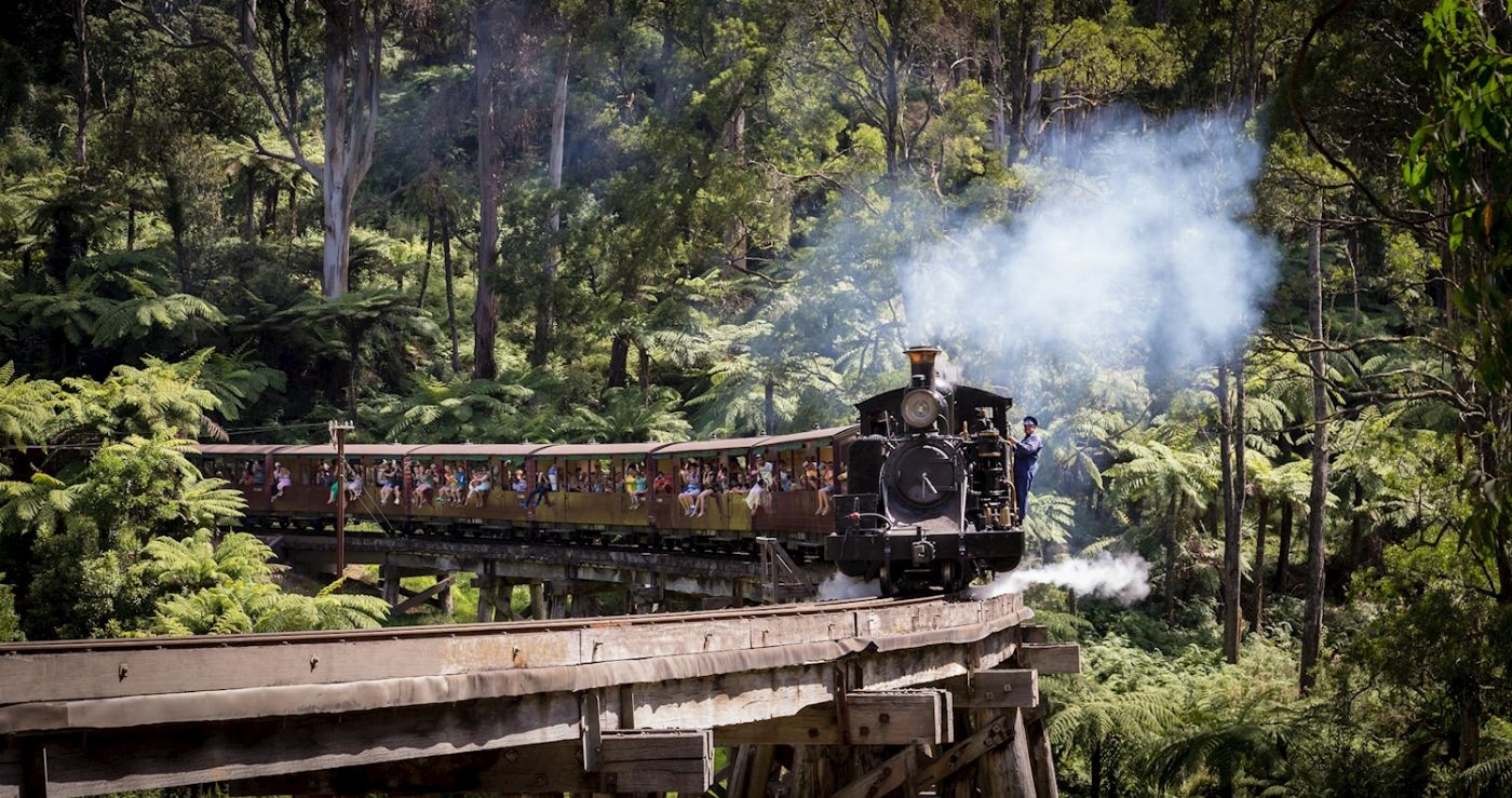 Explore Australia Puffing Billy Rainforest Tour