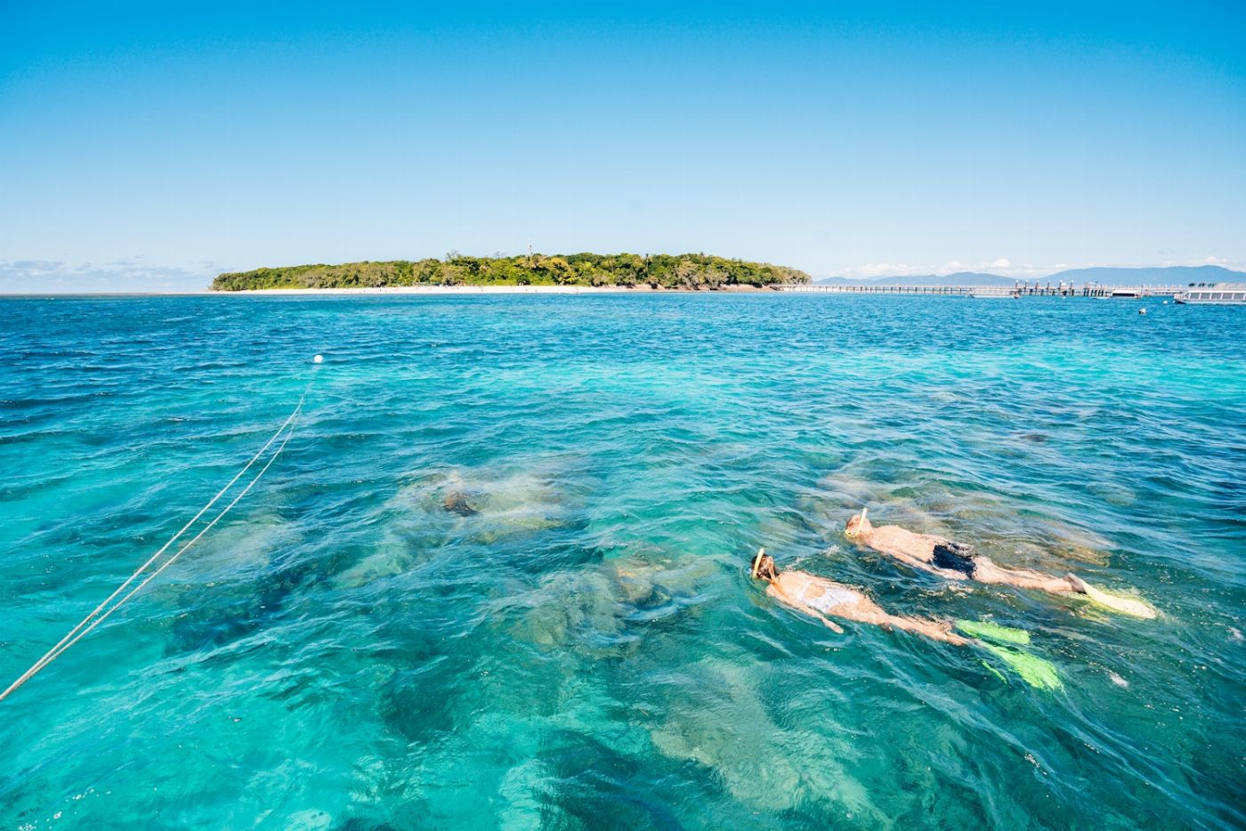 Great Adventures Green Island Discovery (Snorkel Gear & Glass Bottom Boat) + Boat Snorkel Trip