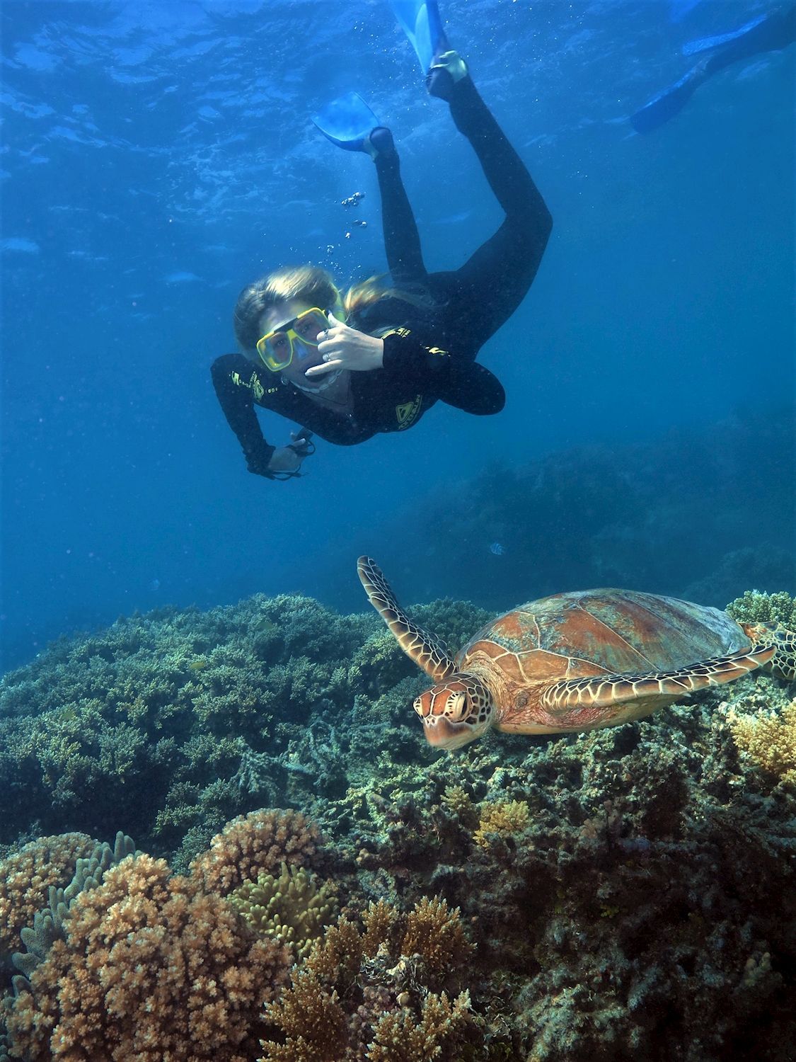 Great Adventures Moore Reef Pontoon Day Tour (+ 1 Certified Dive)