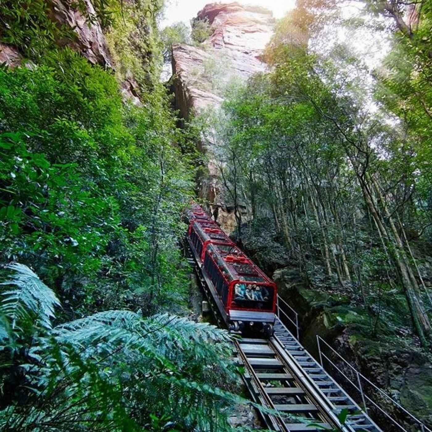 Blue Mountains Explorer Bus Kookaburra Pass- Hop on Hop Off + Scenic World + Food & Beverage