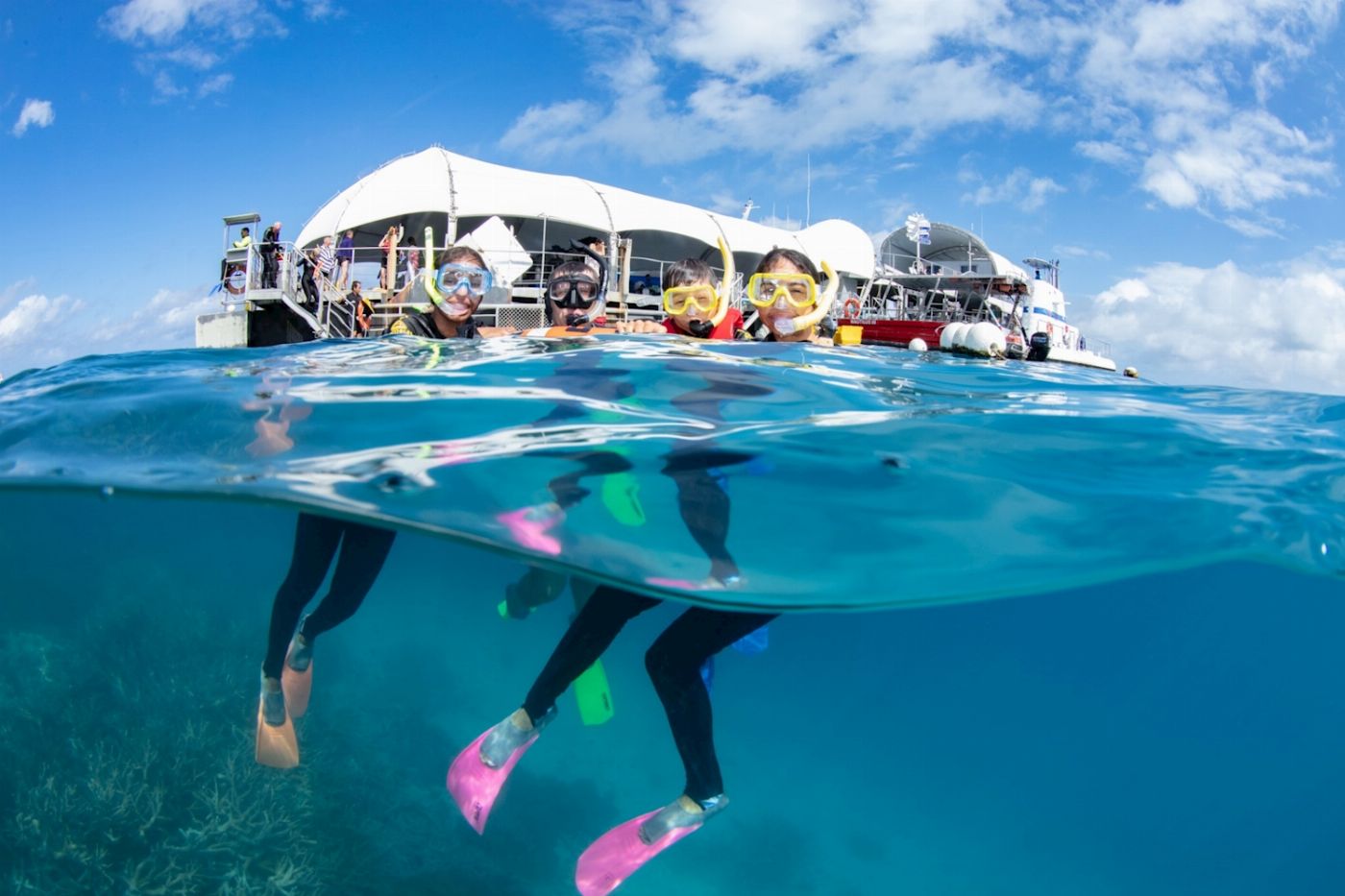 Great Adventures Green Island + Moore Reef Pontoon Combo (+ 1 Introductory Dive)
