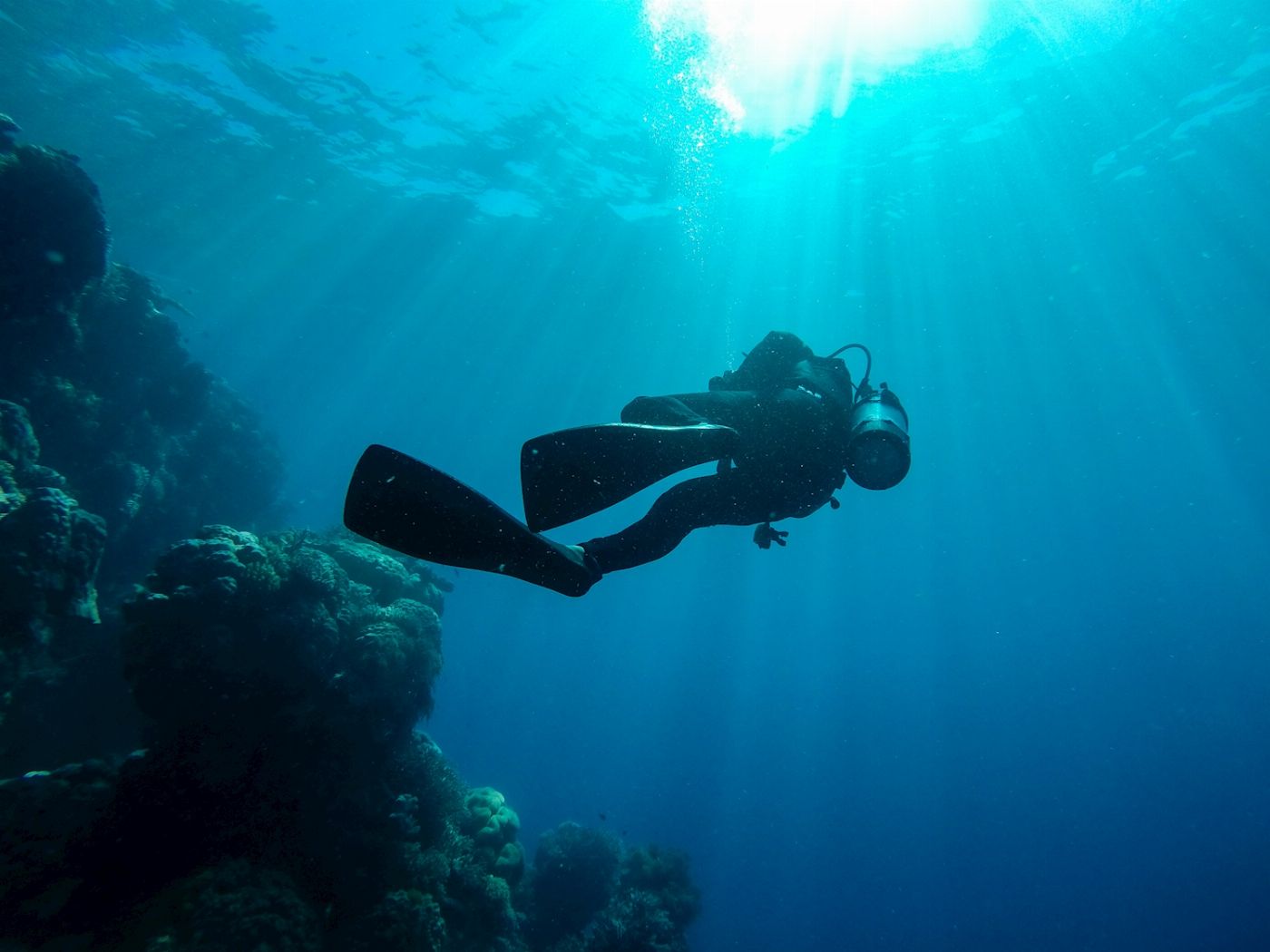Great Adventures Green Island + Moore Reef Pontoon Combo (+ 1 Introductory Dive)