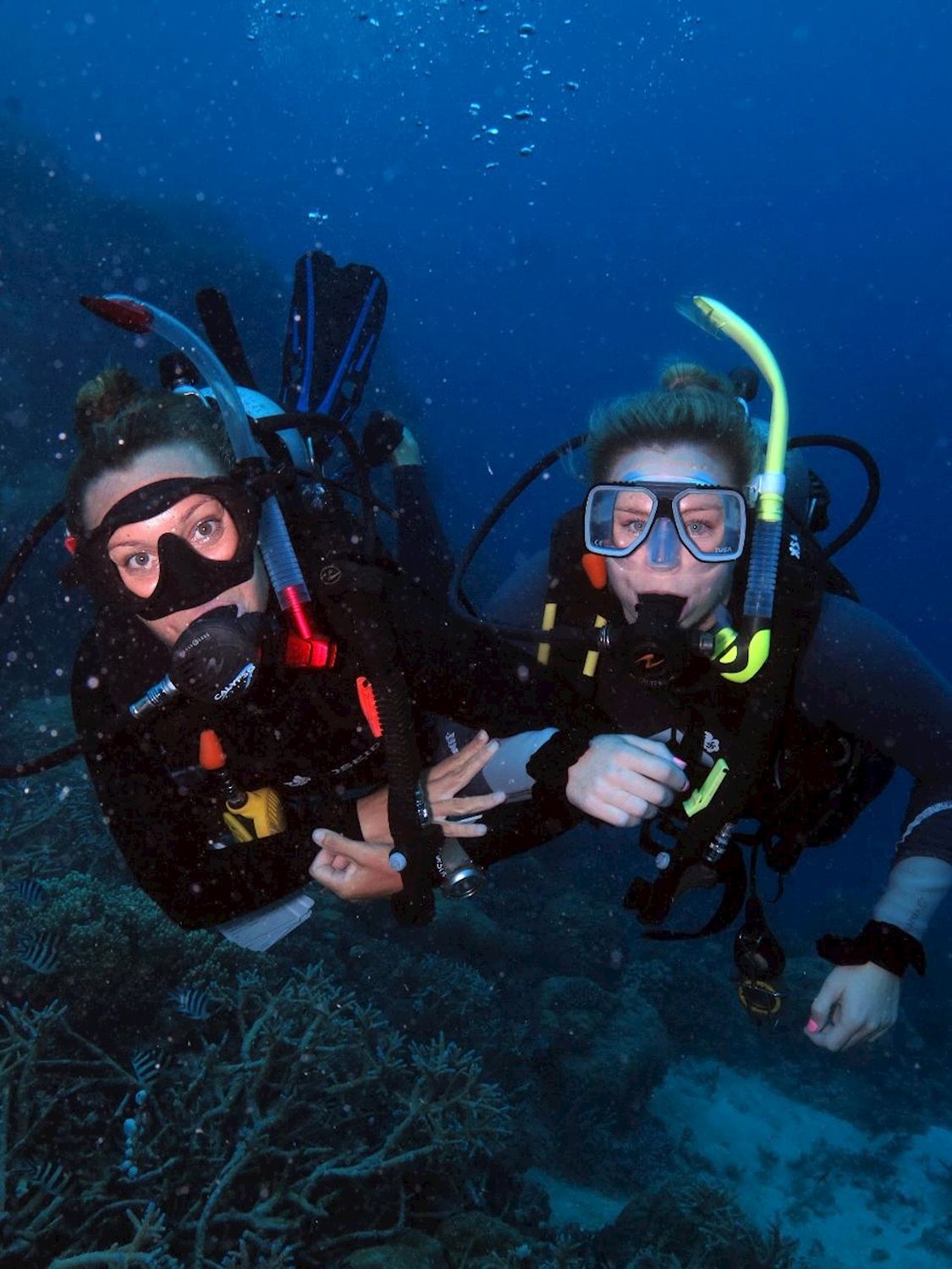 Pleasure Divers Introductory Dive
