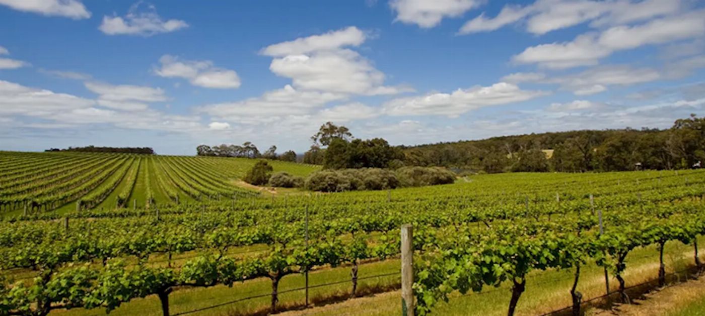 Intrepid Best of Perth, Margaret River and Rottnest Island