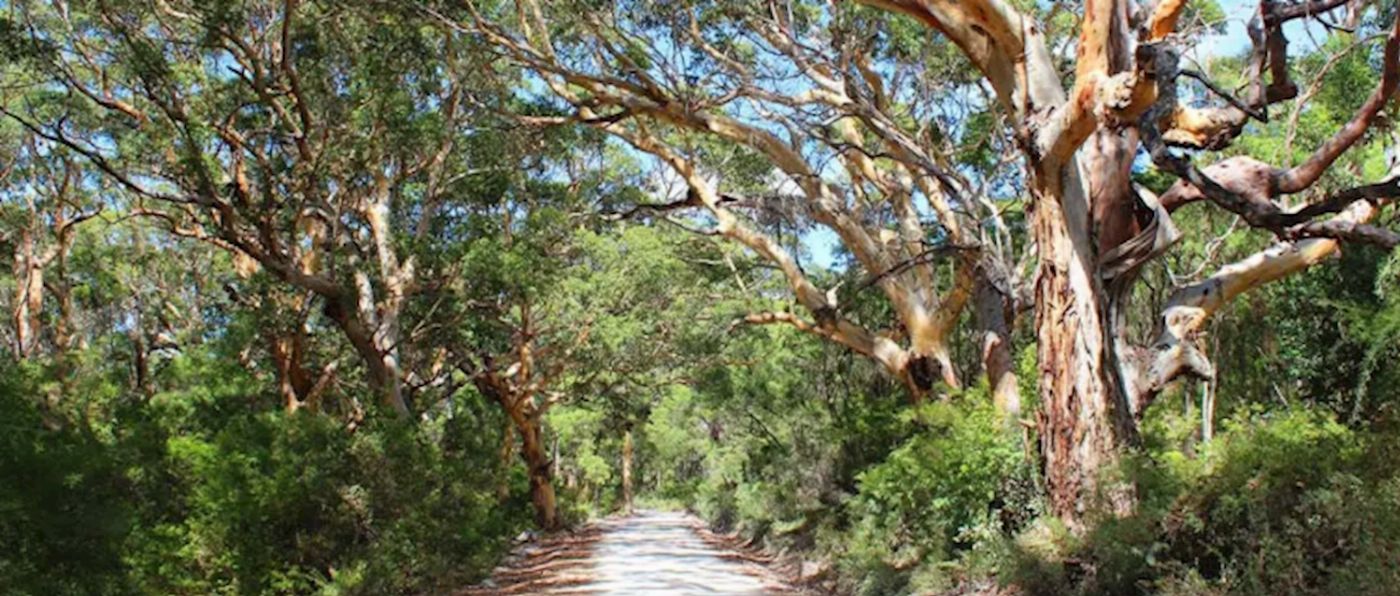 Intrepid Best of Perth, Margaret River and Rottnest Island