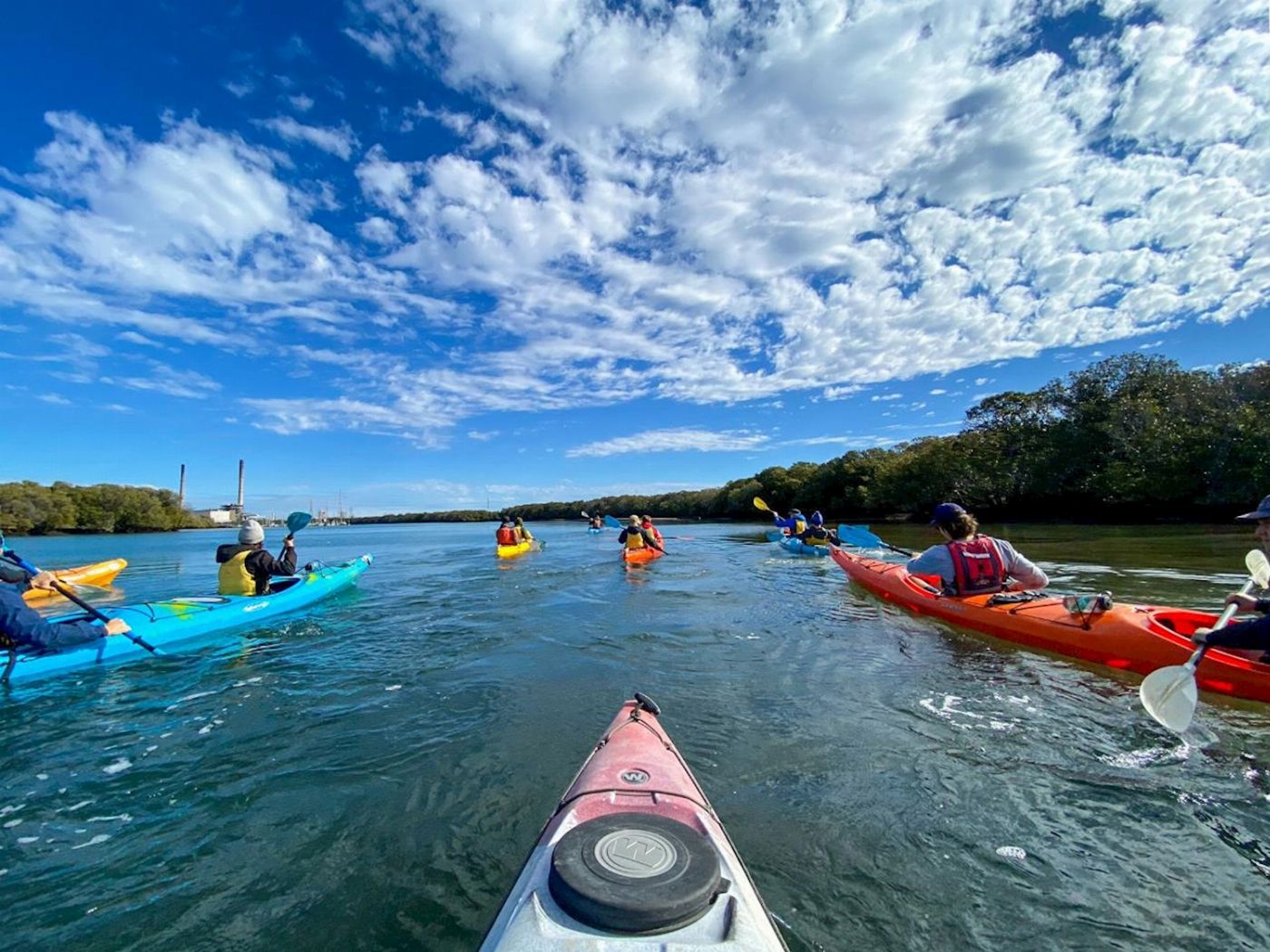 Adventure Kayaking SA Dolphin Sanctuary Mangroves Tour Kayak Tour