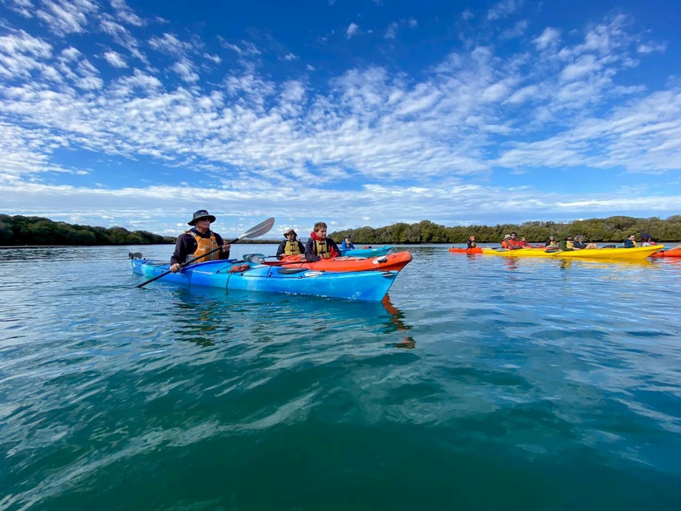 Adventure Kayaking SA Dolphin Sanctuary Mangroves Tour Kayak Tour
