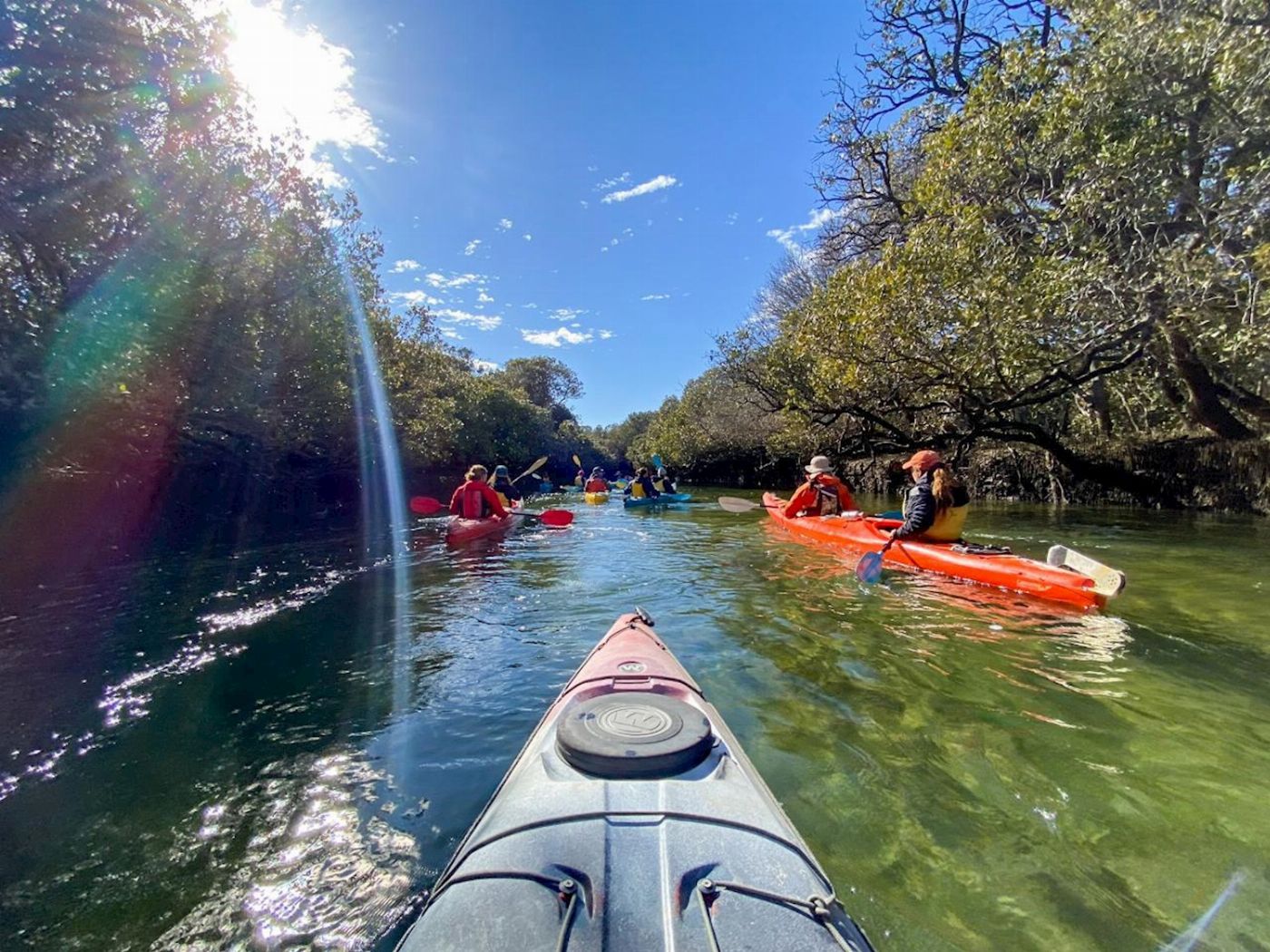 Adventure Kayaking SA Dolphin Sanctuary & Ships Graveyard Kayak Tour