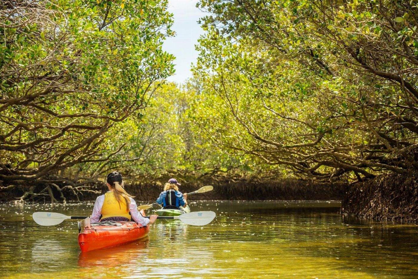 Adventure Kayaking SA Dolphin Sanctuary & Ships Graveyard Kayak Tour