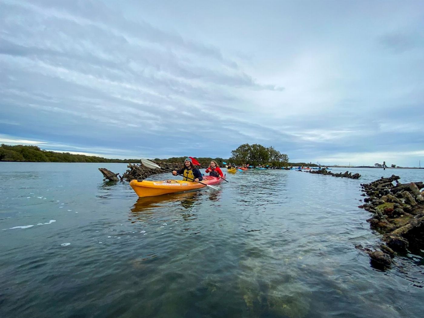 Adventure Kayaking SA Dolphin Sanctuary & Ships Graveyard Kayak Tour