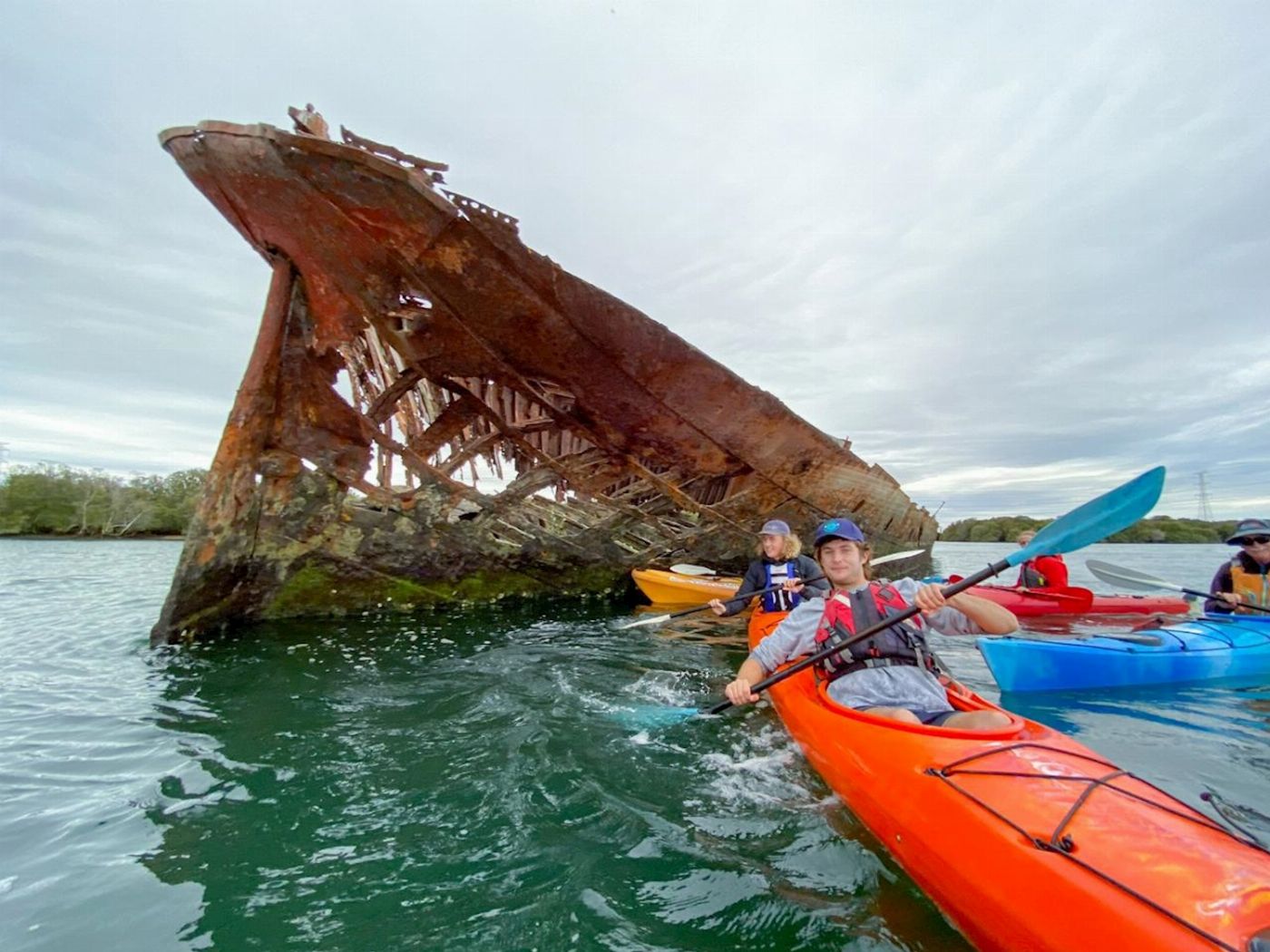 Adventure Kayaking SA Dolphin Sanctuary & Ships Graveyard Kayak Tour