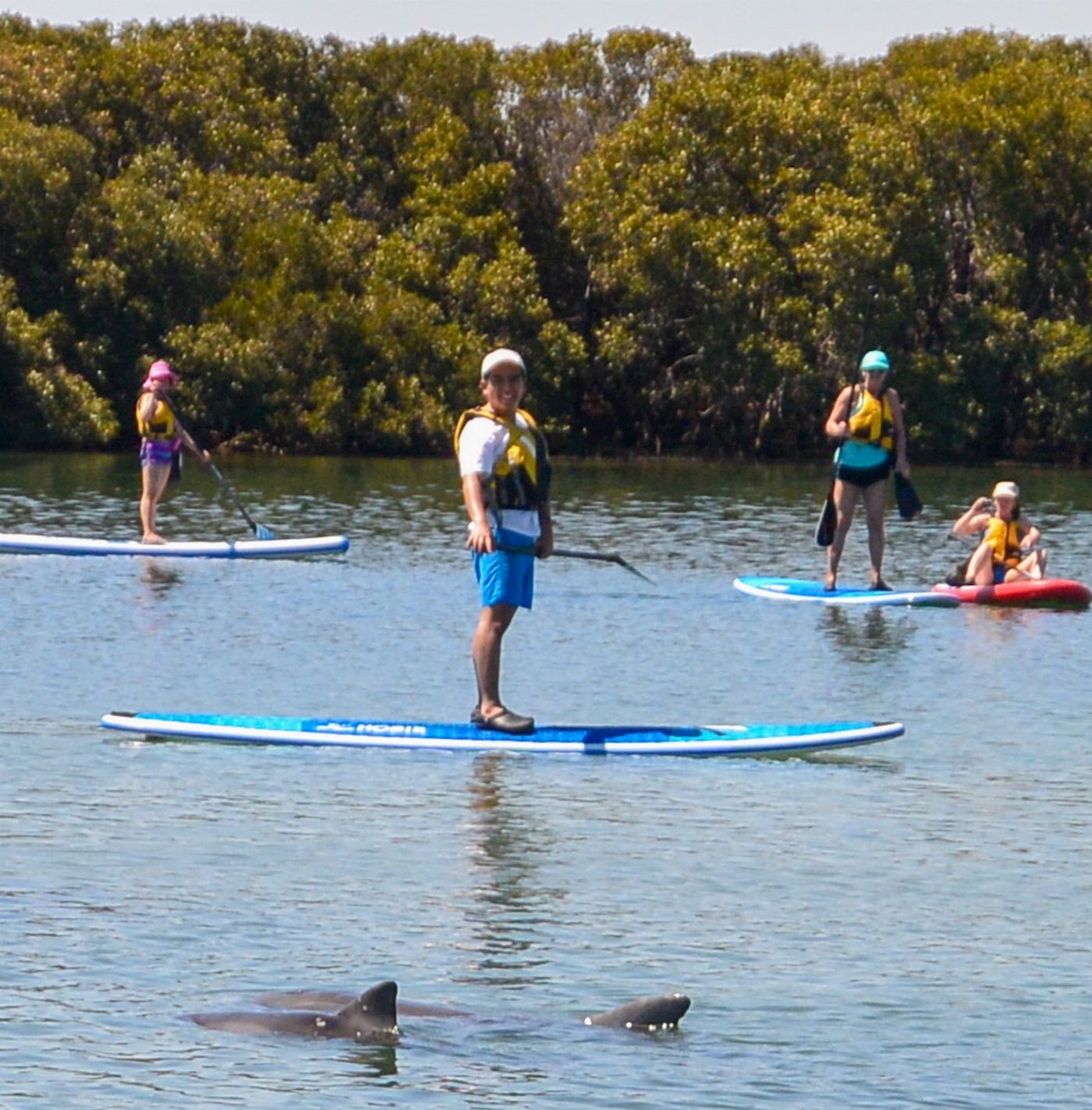 Adventure Kayaking SA SUP Hire